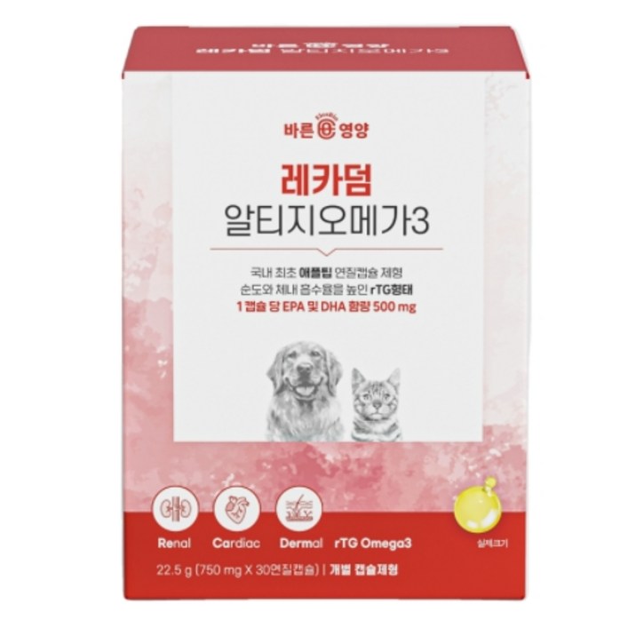 레카덤 알티지 오메가3 강아지 고양이 심장 신장 피부 눈 관절 영양제 애견 캡슐 레카덤 알티지 오메가3 강아지 고양이 심장 신장 피부 눈 관절 영양제 애견 캡슐