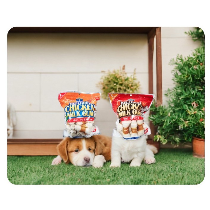 강아지간식 벨버드 치킨밀크껌 개껌 11, 2팩, 1kg, 밀크컴Small