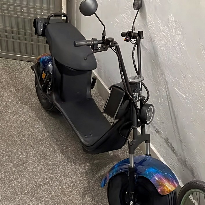 할리 전기스쿠터 팻 전동바이크 고출력 2000W 광폭타이어