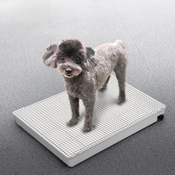 멍멍쉬 강아지 배변판 ,배수호스가 있어 물세척이 가능한 편리한 배변판, 1개, 화이트