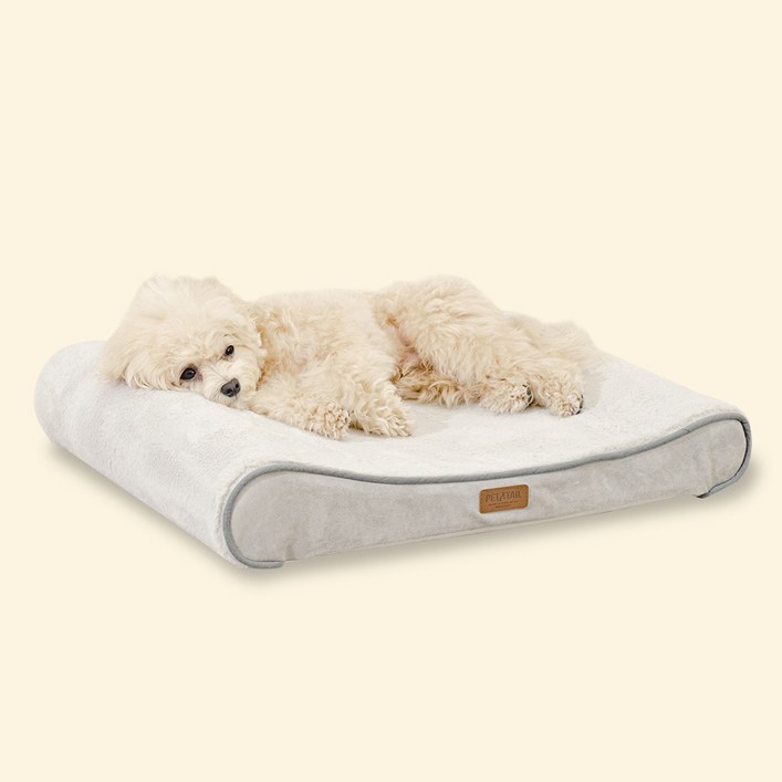 펫테일 강아지 방석 척추 고양이 침대 리저브