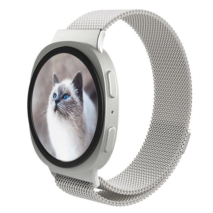 로랜텍 마그네틱 메탈 스트랩