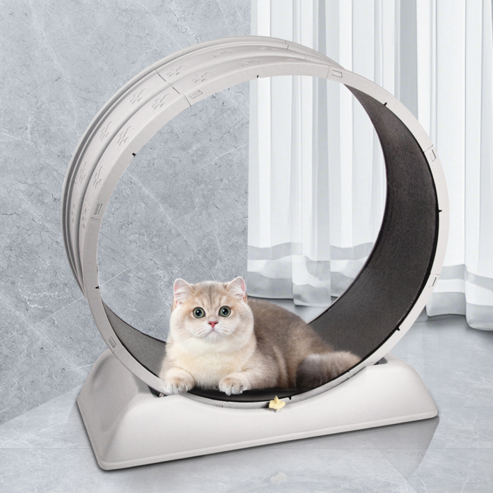 펫샵 플라스틱 캣휠, 단일 색상, 1개