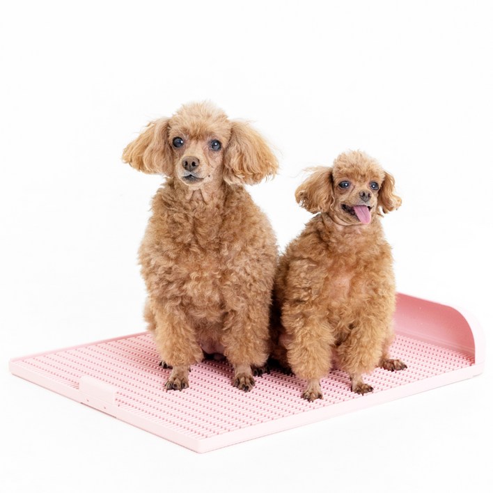 독톡 강아지 연장형 배변판, 페일핑크, 1개