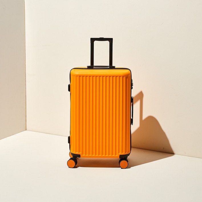 페스페스 모던하우스 미니02 캐리어