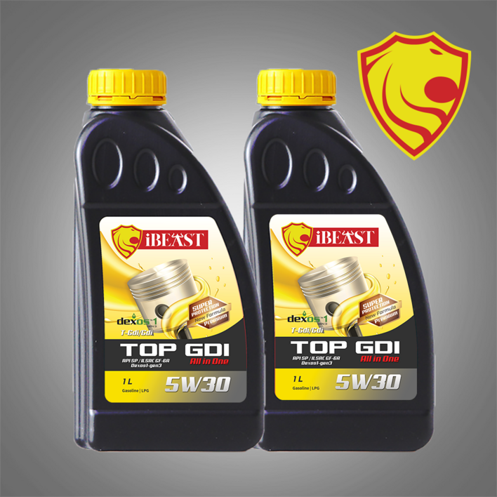 아이비스트 GDI 올인원 5W30 SP SN 가솔린 LPG용 무료배송, 2개, 1L, 5w30