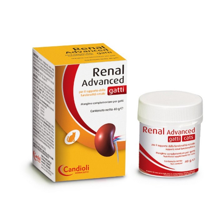 당일발송 최신병원제품 레날 어드밴스드 캣 40g 고양이 신장 신부전 영양제 캣츠