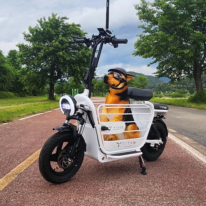타이탄600프로 강아지 전동스쿠터 48v 21ah 1000w 반려동물 우리가족전기스쿠터 TITAN600PRO
