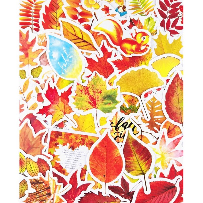 가을 낙엽 다꾸 스티커 A형 세트 나뭇잎 나무 식물 다이어리꾸미기, A형50개1세트