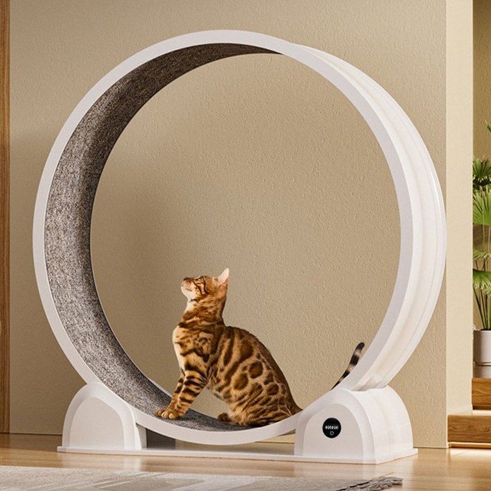 테넷 신형 대구경 저소음 캣휠 런닝머신 스마트 거리 측정 캣타워