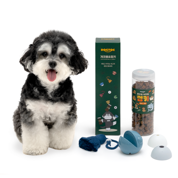 독톡 강아지 선물세트 장난감 간식 노즈워크 공 터그놀이 국내산 져키, 1개, 연어맛비둘기딥블루