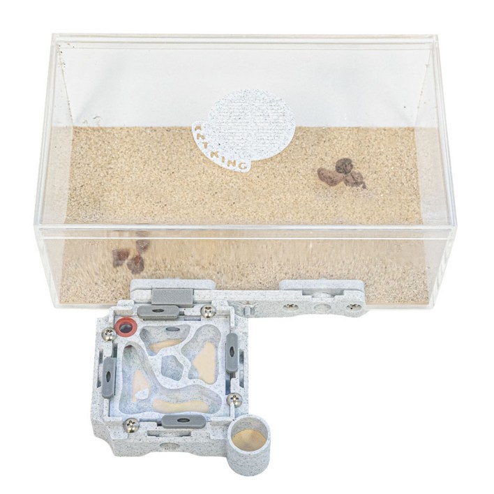 앤트킹 여왕개미 키우기 스타터팩 개미집 관찰키트