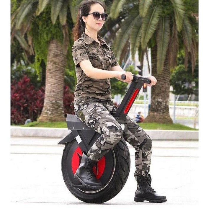 앉아서 타는 외발 전동휠 22인치 스마트 스쿠터 (30/60/90km)