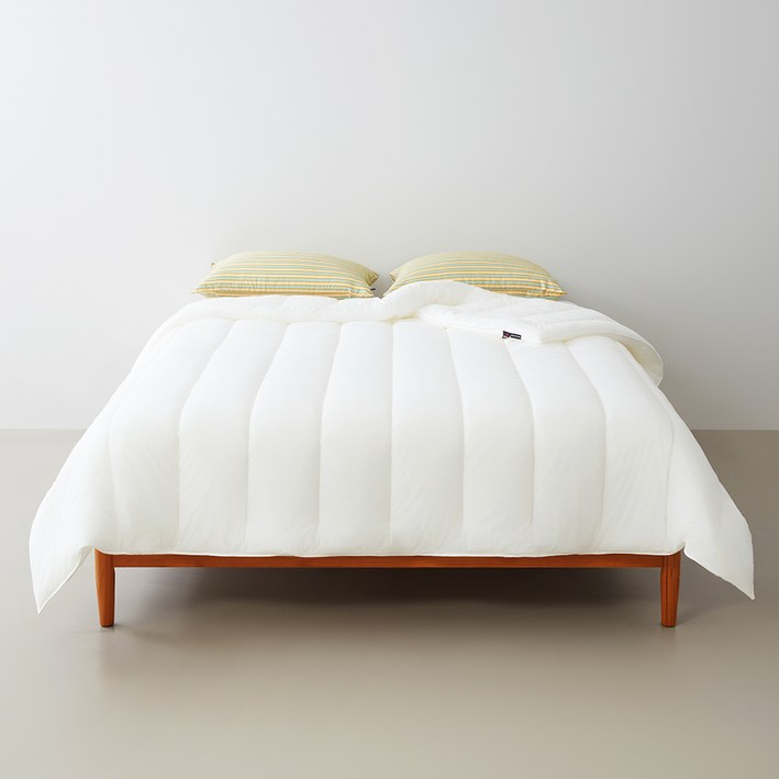 센타스타 레볼루션 프리미엄 솔로 이불, 단일색상