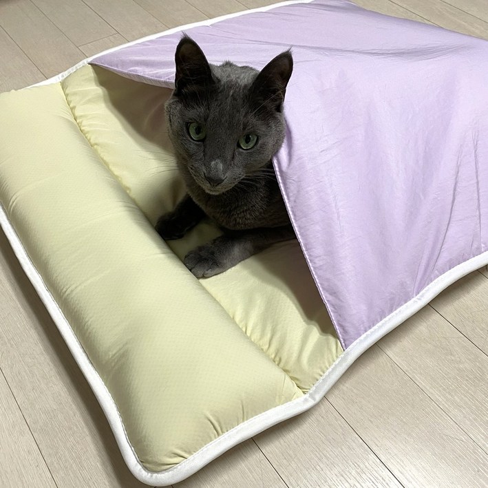 몽뚜뚜 강아지 고양이 숨숨 낮잠 이불 패드 세트 베개 올인원, 1개, 레몬앤라벤더