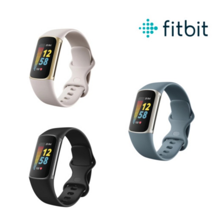 핏빗 차지 5 스마트워치 런닝워치 Fitbit Charge 5