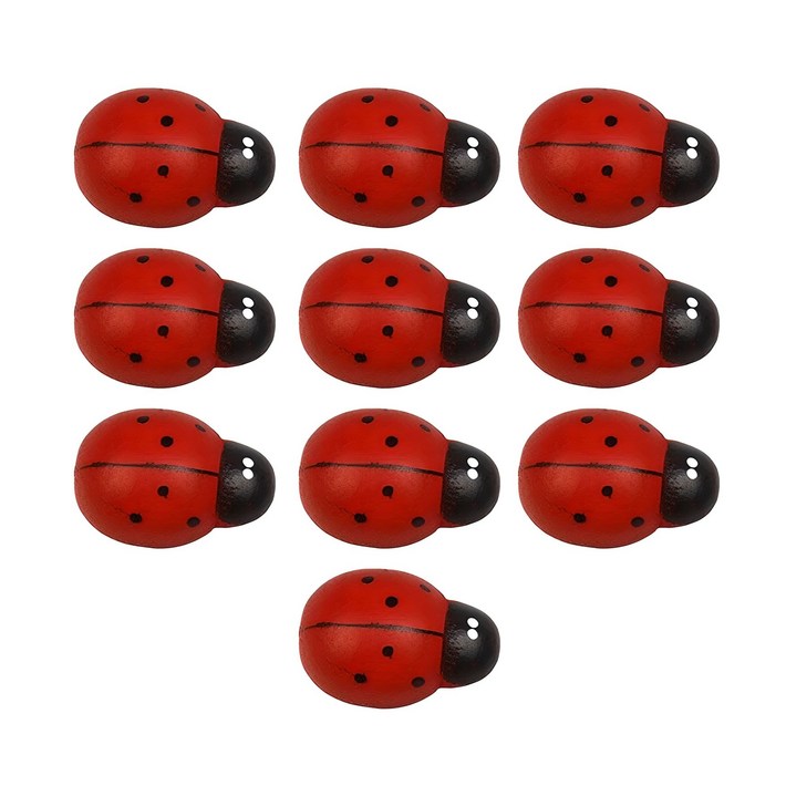 마샤투 정원식물 장식품 10p