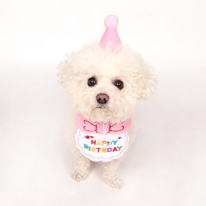 딩동펫 반려동물 생일파티 해피 케이프 모자 세트