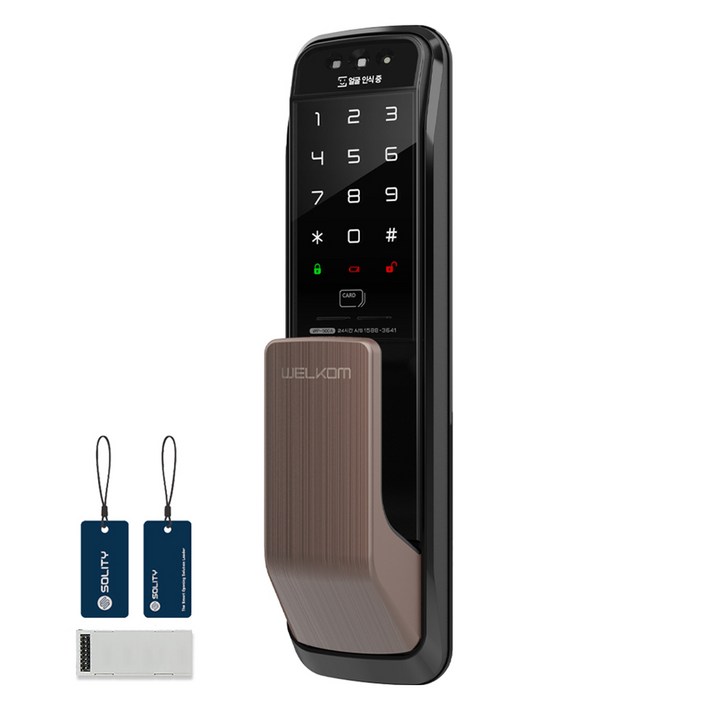 솔리티 웰콤 WiFi 무타공 푸시풀 얼굴인식 Iot 디지털 도어락 WP500A, WP500A, 고객직접설치