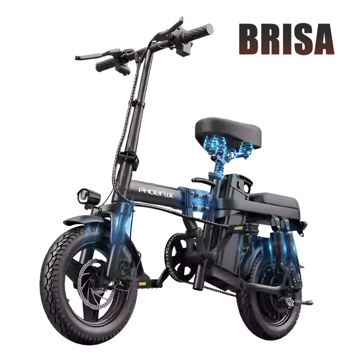 브리사 접이식 전기 자전거 자토바이 전동 자전거 바이크, 프리미엄 25A 75km, 카본