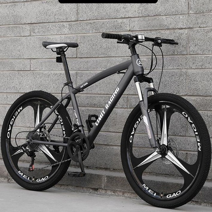 산악 자전거 엠티비 트렉 입문용