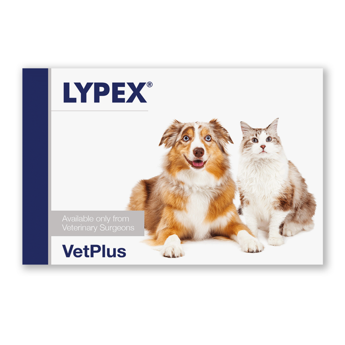 벳플러스 VetPlus 라이펙스 60캡슐 벳플러스 VetPlus 라이펙스 60캡슐