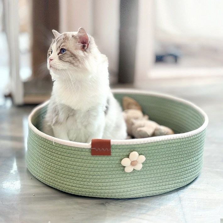 마브펫 고양이 바구니 숨숨집, 1개, 민트