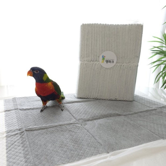 앵파크 앵무새 배변패드 600 새장용 50매입 이동장 깔개 청소 새용품 날림장