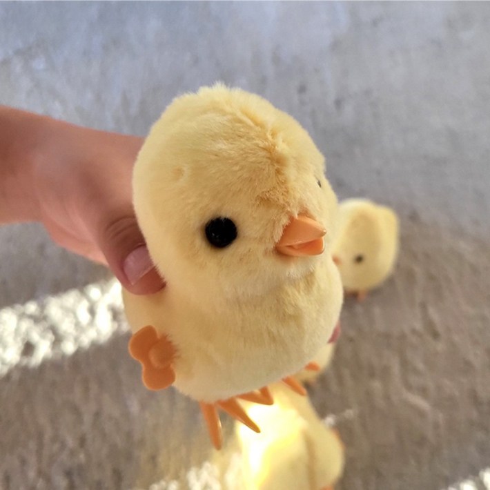 토이랄라 움직이는 걸어다니는 병아리 태엽 인형 장난감