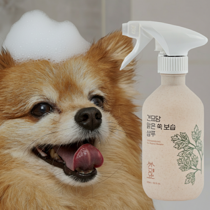 견묘당 맑은 쑥 보습 샴푸 저자극 테스트 완료 올인원 펫 천연향 모든 강아지용, 3개, 300ml