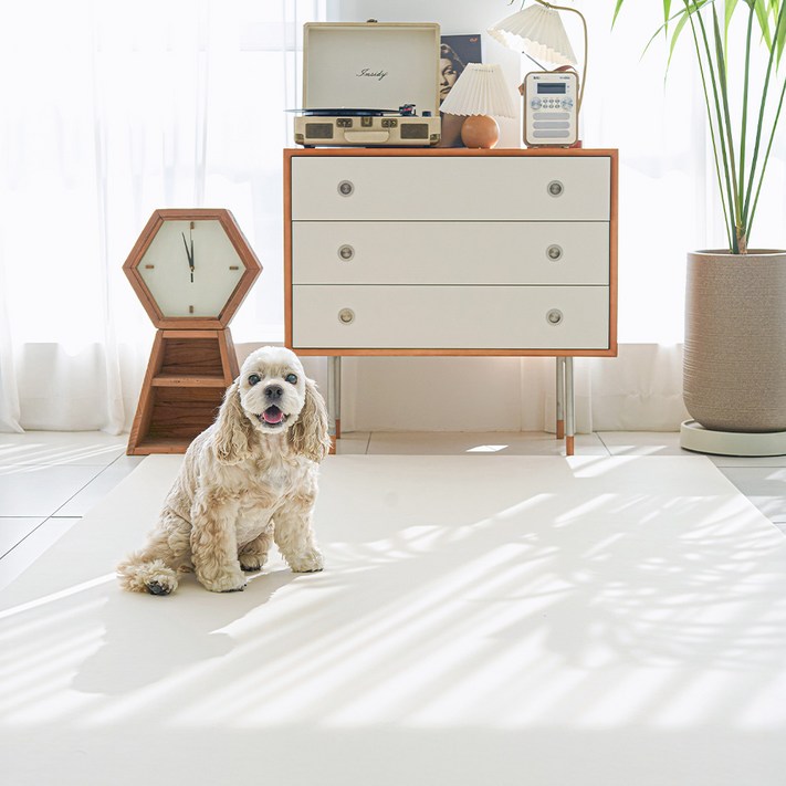 이리로 반려동물 실리폼매트 강아지매트 논슬립 방수 방오, 1개, 코지 아이보리