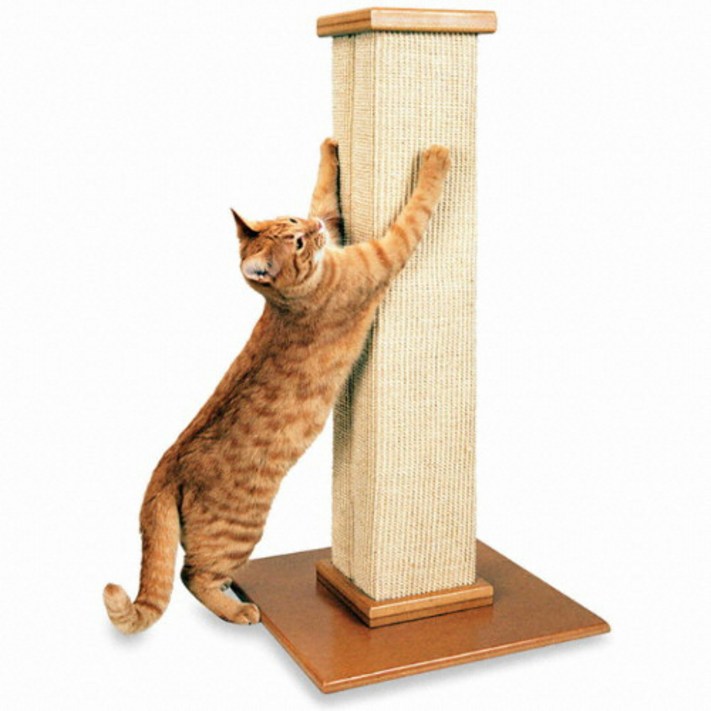 파이오니아 얼티메이트 스크래처 고양이 장난감, 단일상품