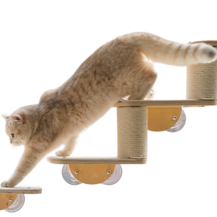 디바피스 고양이 창문 원목 캣타워 캣워커 캣선반 스텝 해먹