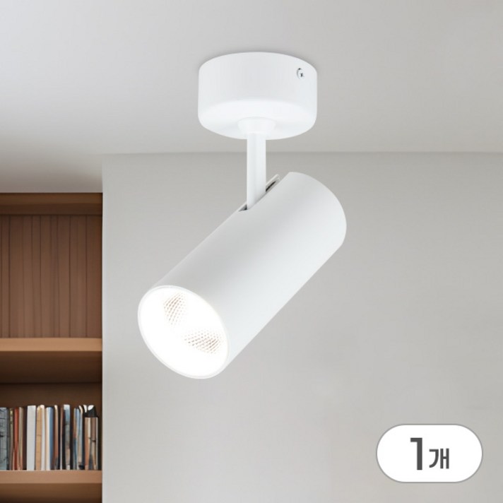 더쎈 LED 원형 카네스 1등 직부등 회전 COB 20W 주광색 2color 거실 주방 침실 카페 매장 조명