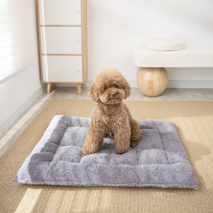 소하임 펫 통세탁 램스울 방석, 챠콜 그레이, 1개