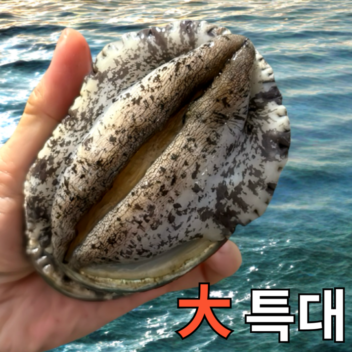 파도스토리 완도전복 2kg 왕특대 직거래 산지직송 산소포장 선물 세트