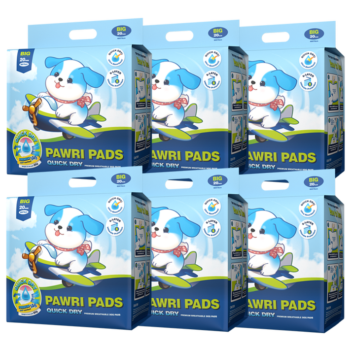 포우리 퀵드라이 강아지 배변패드, 6세트, 20개입