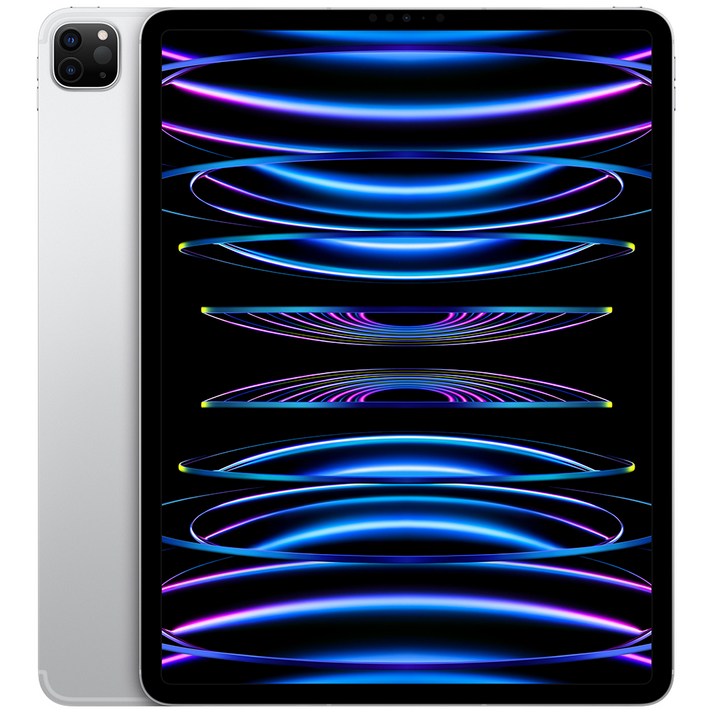 Apple 정품 2022 아이패드 프로 12.9 6세대 M2칩 Apple 정품 2022 아이패드 프로 12.9 6세대 M2칩