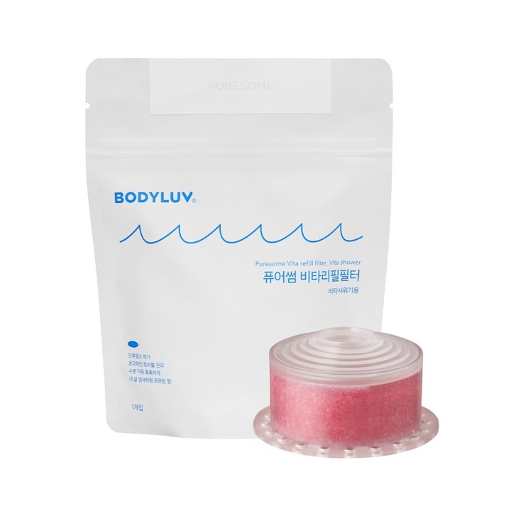 퓨어썸 비타 샤워기 리필필터