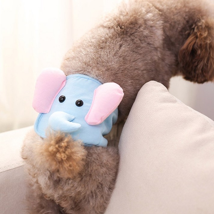 딩동펫 반려견 매너벨트 코끼리