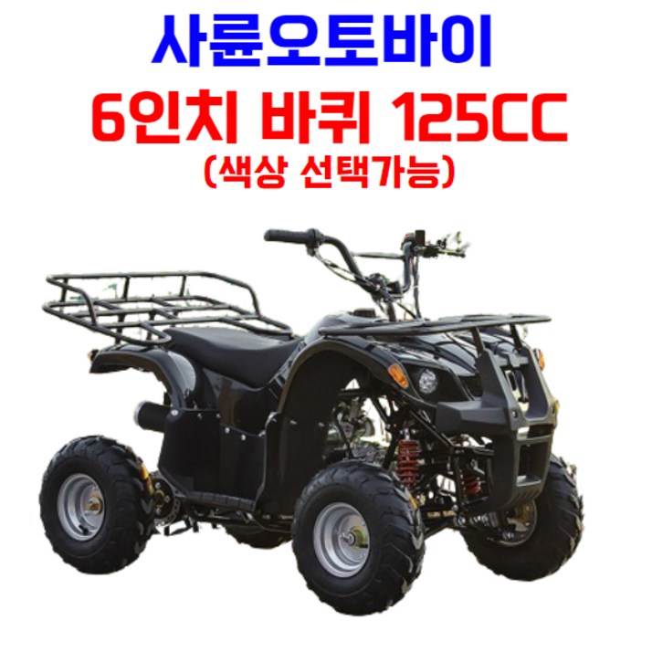 엑티쿼 사륜 오토바이 사발이 4륜 바이크 네발 산악 ATV 운반차 오프로드, 블루, 01 6인치 125CC