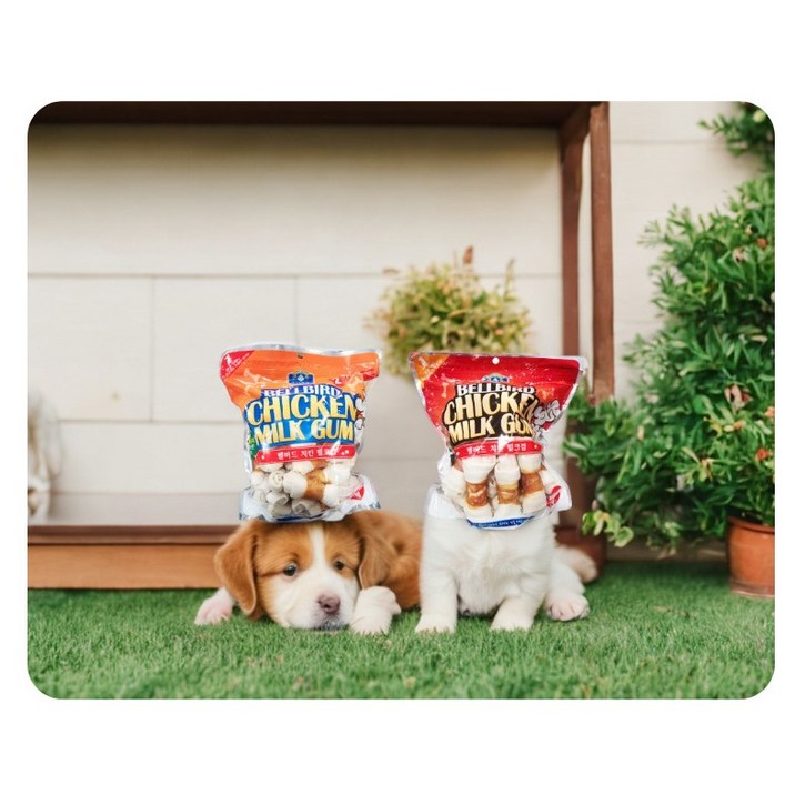 강아지간식 벨버드 치킨밀크껌 개껌 11, 2팩, 1kg, 밀크컴Small