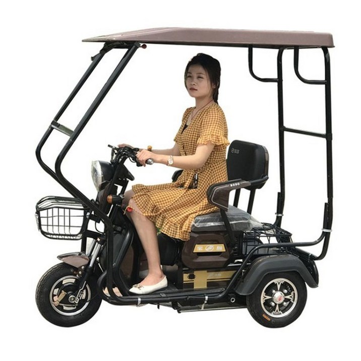 전기 세발 자전거 세발전기자전거 용 배터리 3인승 출퇴근 등하원 픽업카 삼발이
