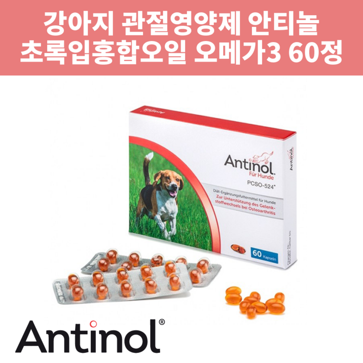 안티놀 래피드 강아지용 관절영양제60정 초록입홍합 크릴오일 강아지관절약