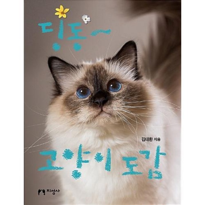딩동~ 고양이 도감: 91928098