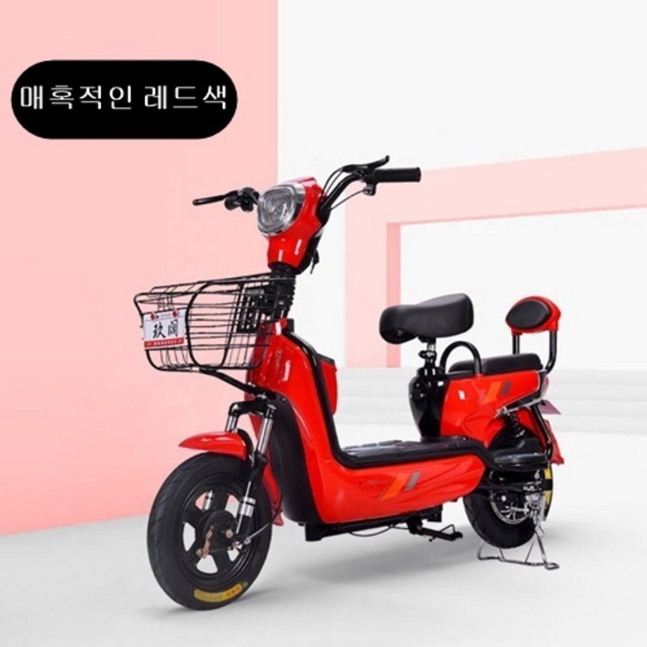 2인용전기자전거전동스쿠터
