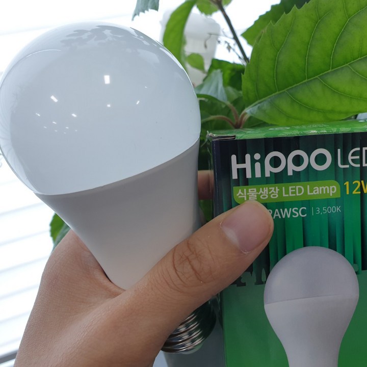 필립스스마트전구 히포팜텍 식물생장LED 식물등 식물용 성장 생장 재배 전구 램프 AGF12BWSC, 1개