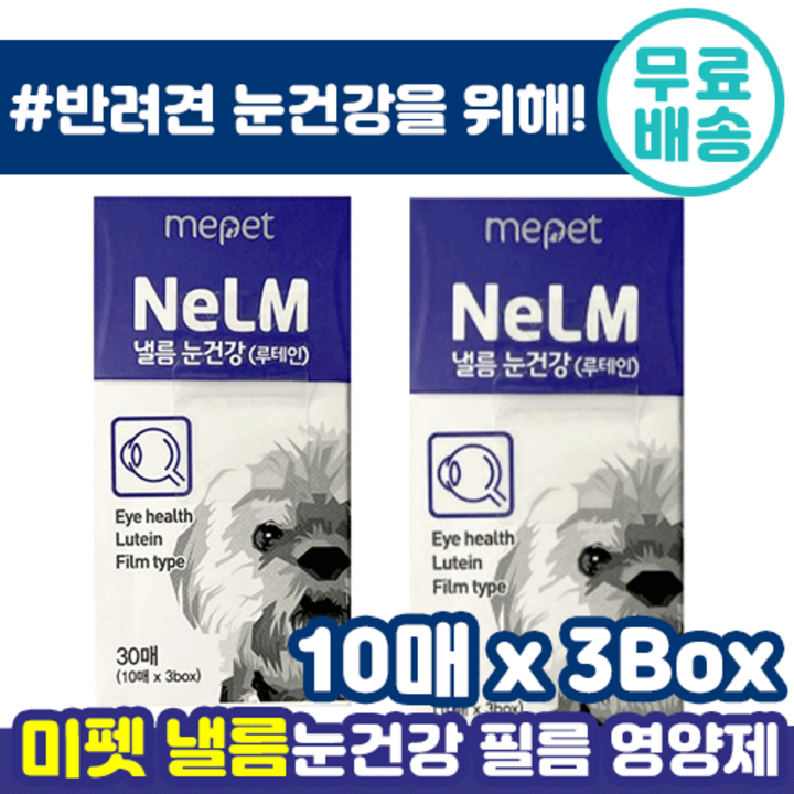 미펫 반려견 낼름 눈