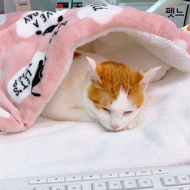 펫느 강아지 고양이 담요 이불 켄넬 방석 펫느 강아지 고양이 담요 이불 켄넬 방석