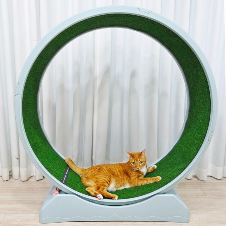 MAAH 고양이 간단조립 ABS 런닝 캣휠, 1개, 민트그레이 MAAH 고양이 간단조립 ABS 런닝 캣휠, 1개, 민트그레이